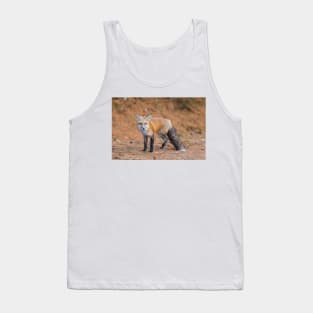 A very friendly red fox Tank Top